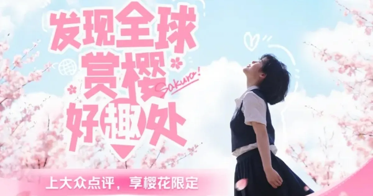 따종디엔핑 프로모션 화면